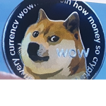 DOGS MAY