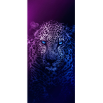 The Boys_Dev