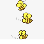 IcyBee Studio