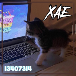 /xae
