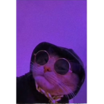 Nxthan cool