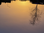 Daylighting