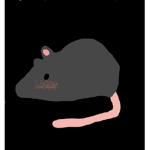 Kaitlyn's Rat gang