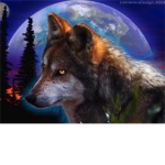 @$*WOLFS OF DARKNESS*$@
