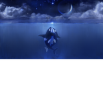 Builds free wily