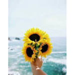 Sunflower gaming HH:4