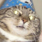 MisterCat