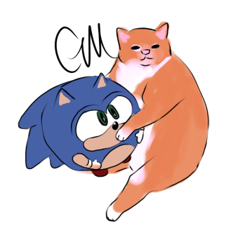 No.6