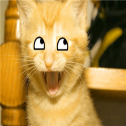 Awesome cat Roblox decal