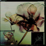 hersteria