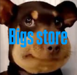 Bigs store