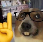 GxdCxmplex