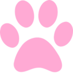 paws n' fluff