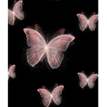 butterfly.angels
