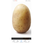 Potatos :3 -