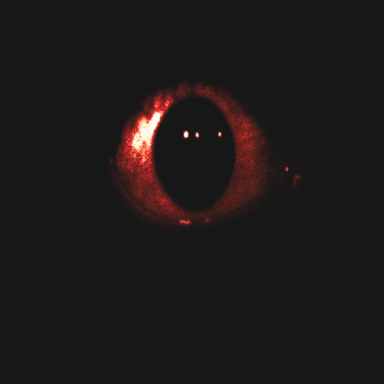 HORROR EYE Roblox decal