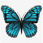 lovely_butterflies_group