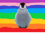 PENGUIN SQAUD FOREVER