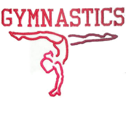 Star Rider's Gymnastics |Main Gym|