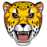hashim2865 tiger mode