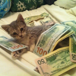 hmmm