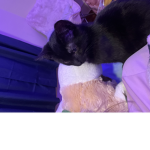 Madi!