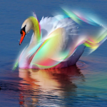Silver Swan