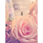 Rose_cupcakes