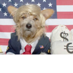 MONEY GROUP RICH