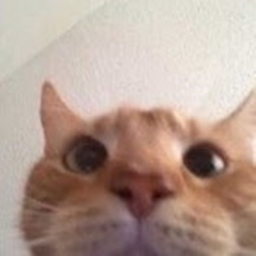 AFK till I get donated 200k