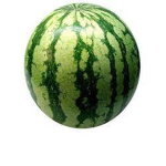 Cocococo mELOn