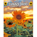 •-Sunny Days-•