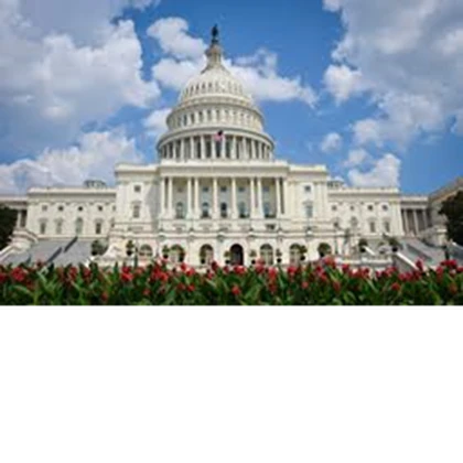 The World Government [OPO] Roblox group icon