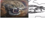 Big Lion power