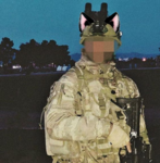 cats with firearms