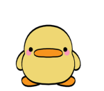 Loving ducks