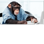 The Monkey Nations Medical Corp
