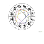 The 12 Signs