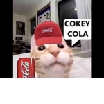 ohhhhh no