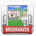 Brookhaven group!