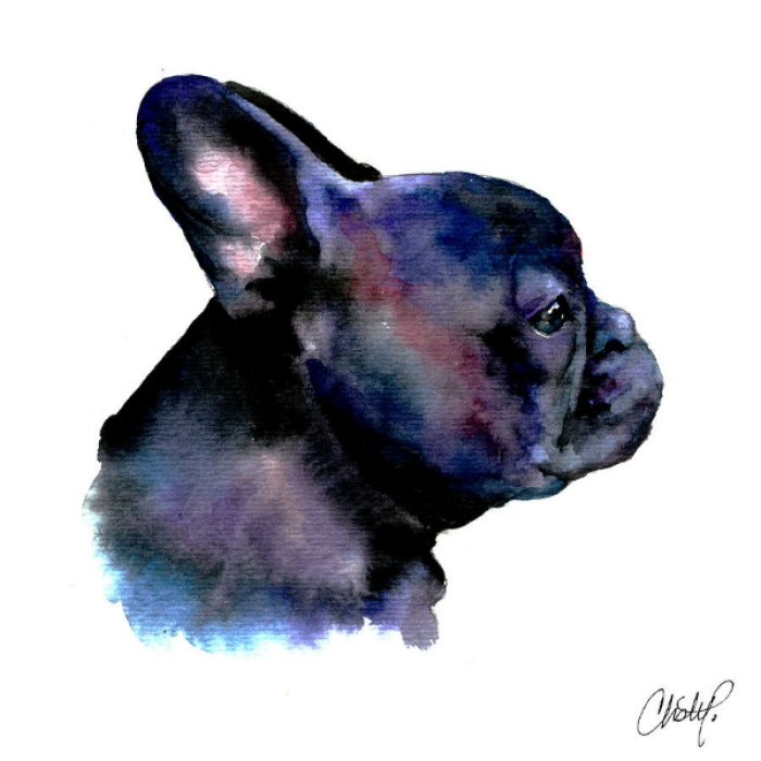 French art bulldog Roblox decal