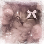 — ) dakoties pretty kitty's ( —
