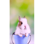 Helloiii