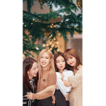 BLINKS BLACKPINK FANS