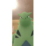 Pokémon run