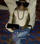 monkeu(ey)