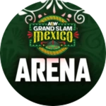 Thank you for playing the AEW GS Mexico'25 arena!! Roblox badge thumbnail