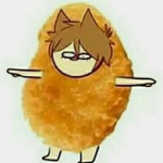 ~*Chicken Nugget Squad*~