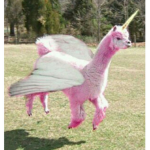 Group for Alpaca and unicorn fans