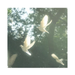 *+*LovelyDove Homestore*+*